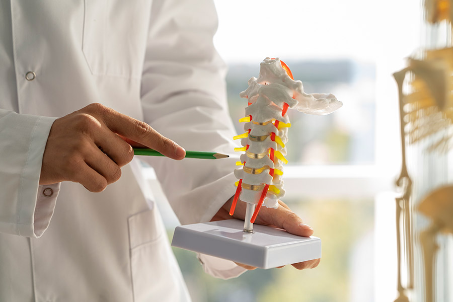 The 2026 Guide to the Best Neurosurgeon in Mumbai for Spine Issues